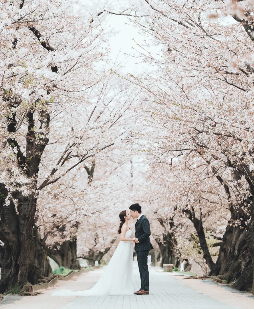 京都白紗婚紗拍攝方案