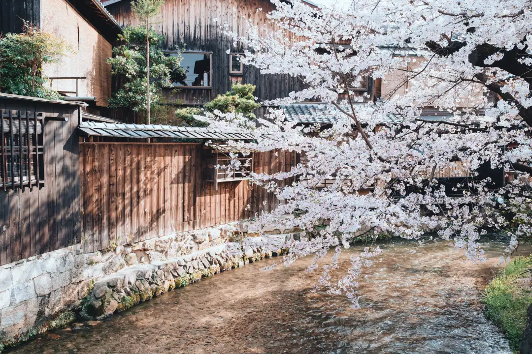 京都婚紗光線