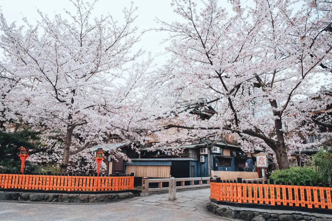 京都婚紗場景