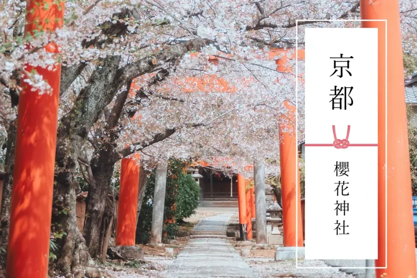 2027年京都櫻花神社拍攝專案