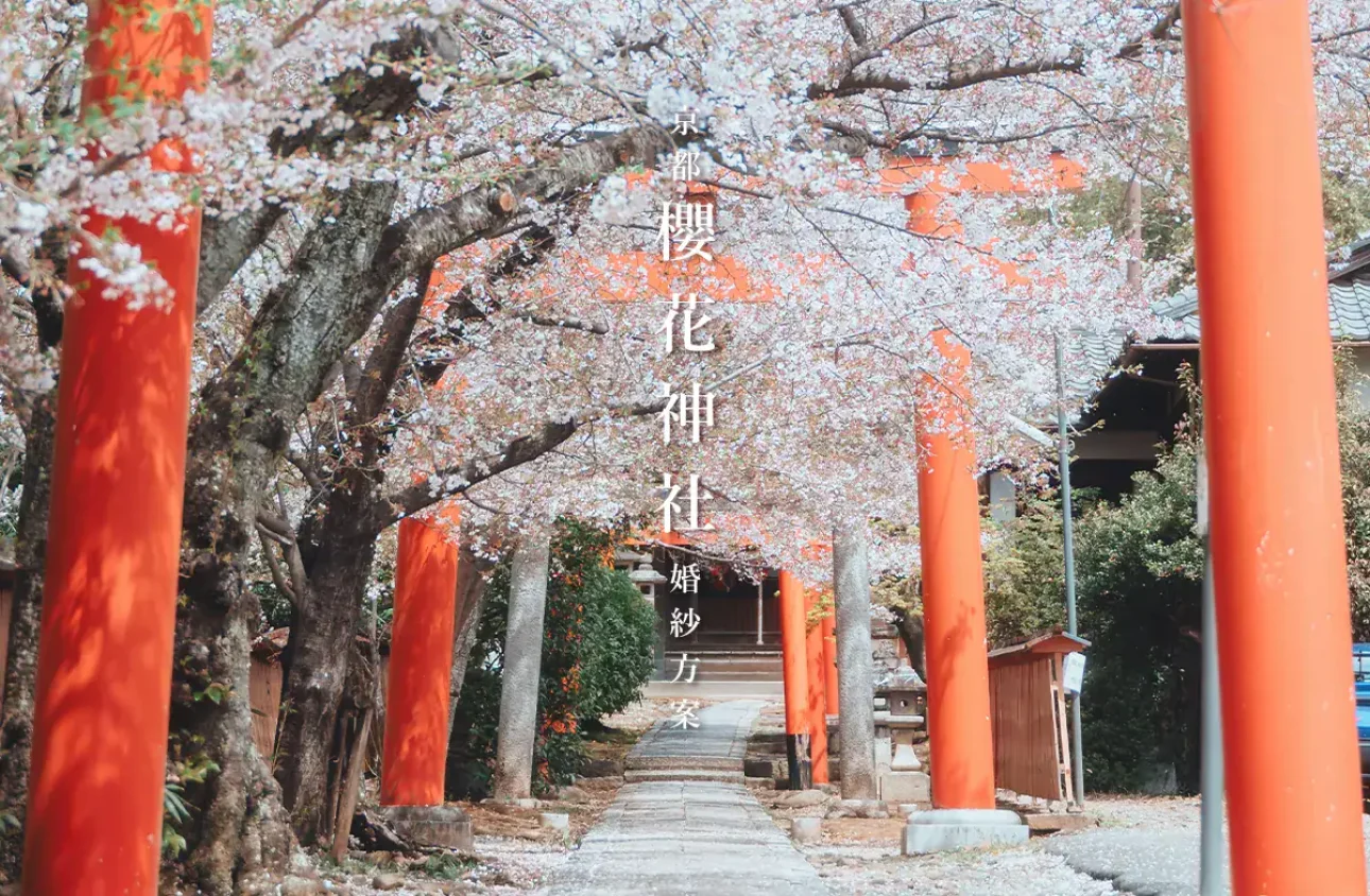 sakura-jinja-plan