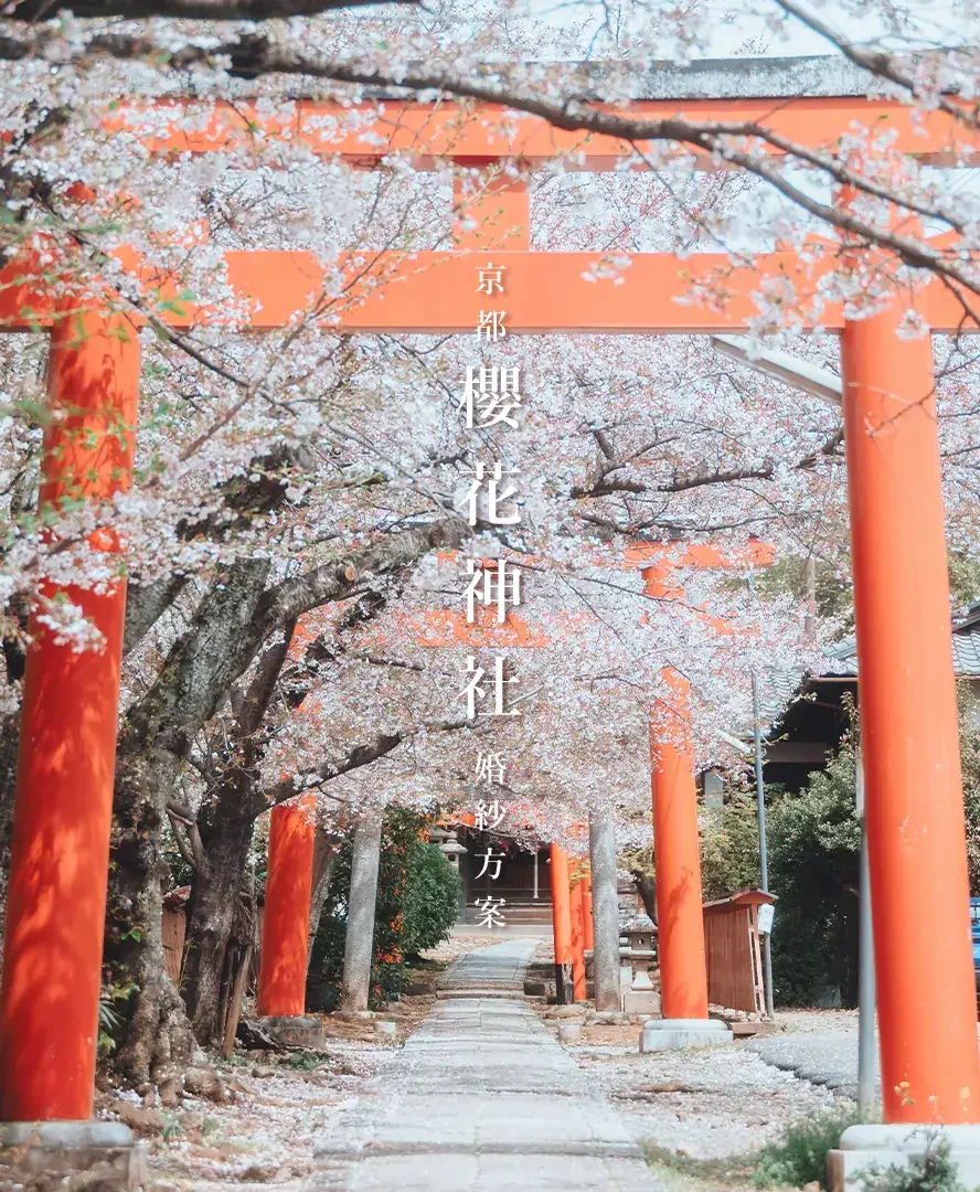 sakura-jinja-plan 櫻花神社方案